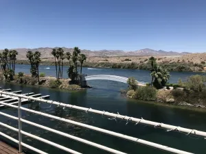 Image of Colorado River water front oasis