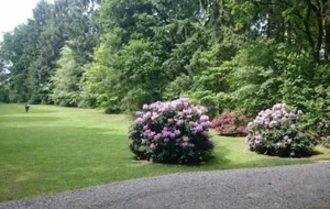 Image of Holiday house Gudendorf for 1 - 4 persons with 2 bedrooms - Holiday home