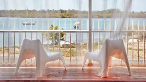 Image of Riverwatch - directly opposite the Myall River