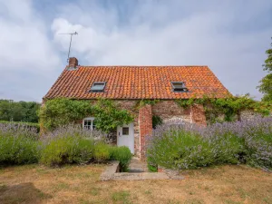Image of Little Wells 4