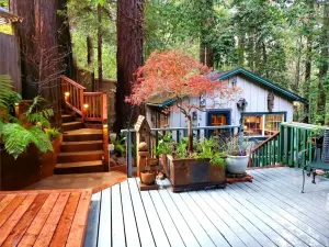 Image of Guerneville Cottage! Redwoods! Hot Tub! Fire Table! Fast WiFi!! Serenity Defined!