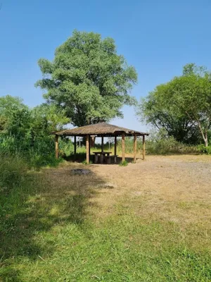 Image of Grünewald Haus - Apartment with 3 bedrooms in the countryside