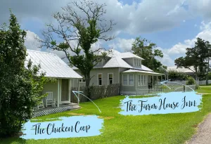 Image of The Chicken Coop