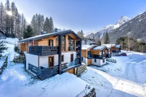 Image of Chalet Green Forest