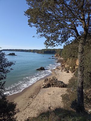 Image of La Ville à la mer