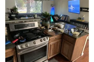 Image of Artistic  south Austin home with tree covered yard