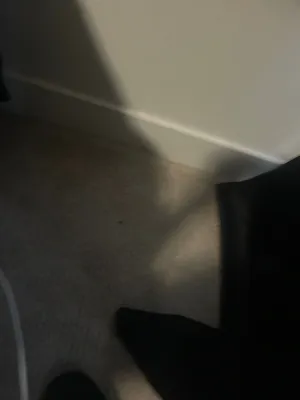 Image of Luxury Living