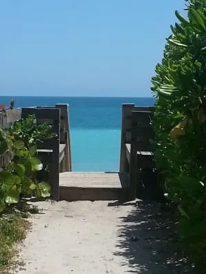 Image of Charming Beach Cottage, 100 Steps to the Beach. Pet friendly. King Bed.