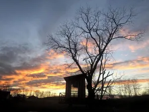 Image of Treehouse at Fairview Farms