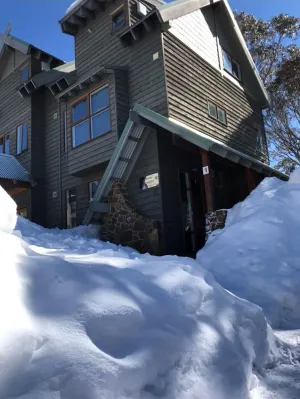 Image of Snow Brainer-dog friendly