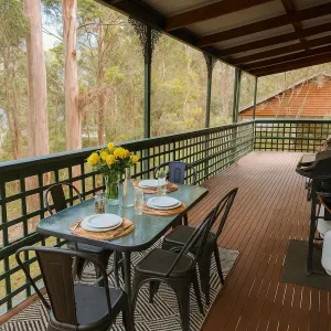 Image of The Lookout