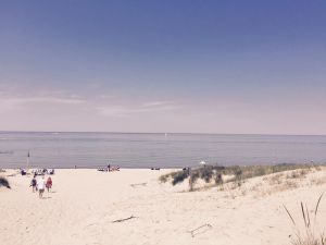 Image of 1-bedroom cottage steps to Lake Michigan Beach fire pit