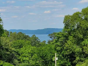 Image of 4. Spacious historic home in Lake Guntersville