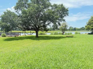 Image of Water front, river views, fishing from backyard, Large yard to enjoy.