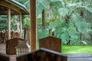 Image of Jacuzzi lodge: Private rainforest with river
