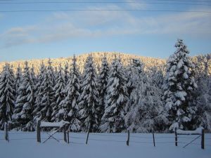 Image of Lodging in the heart of nature between forests and meadows