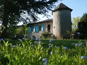 Image of Charming 13th Century Cottage: Fireplace, WiFi, Garden, Near Shops & Hiking Trails