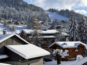 Image of Appartement de standing, au pied des pistes avec parking et WIFI, Les Carroz d'Arâches - FR-1-572-280