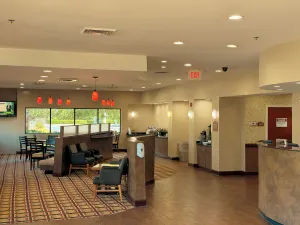 Image of Sunsera Boutique Suites