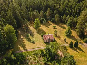 Image of Cozy Forest House: Spacious Kitchen, Scenic Veranda, Near Lakes and Hiking Trails