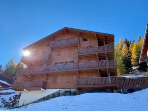 Image of Spacious 3 bed 2 bath near Plagne 1800. Stunning views of Mont Blanc. Free bus