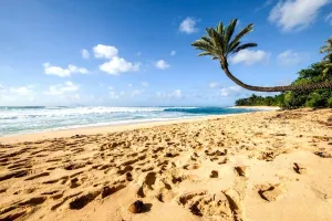 Image of KBM Resorts FREE CAR Beach Villas at Ko Olina BVK-B-308 Beachfront Villa