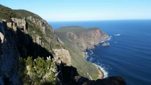 Image of The Orange House (Tasman Peninsula)