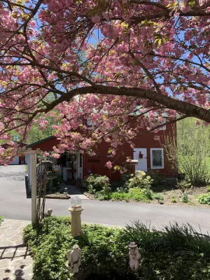 Image of Renovated 1920's Barn Cottage