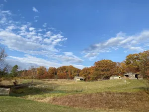 Image of Resort on a Farm