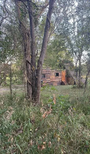Image of Cabin 1 Cozy cabin close to Sam Houston Park