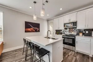 Image of Dallas Delight - Modern Texan Style Home