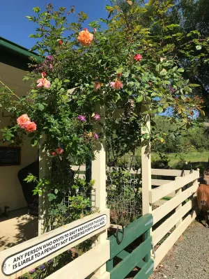 Image of Kymmik Cottage - A slice of Tasmanian paradise