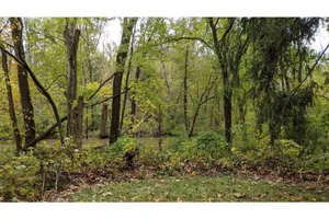 Image of NEW! Beautiful Riverfront Home on 10 Acres!