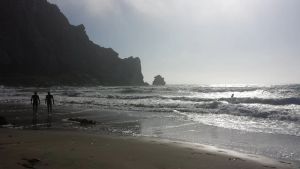 Image of Pelican Square in Morro Bay