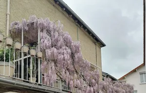 Image of Bel Appartement Dans Petite Copropriété