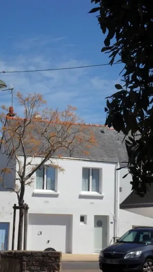 Image of Independent studio