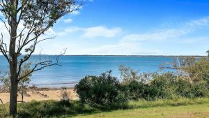 Image of Cockatoos View at Point Vernon