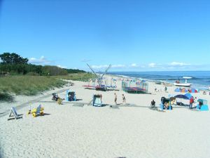 Image of Lily \/ urchin - ** 400 m to the Baltic Sea beach ** F.-L.-Jahnstr., Bj. 2009