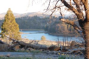 Image of Gorgeous Lake View, next to meadow, WiFi, Game Room, wildlife