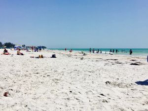 Image of Sunshine, Beaches, and Ocean Breezes on Treasure Island