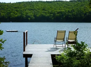 Image of Cozy, Wooded, Waterfront, Mountain View Cabin on Silver Lake