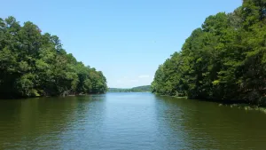 Image of Lakeside retreat with private dock on Palmerville Lake!