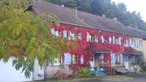 Image of Alsace Cottage leaning against the hill overlooking the valley 15min from Haut-Kœnigsboug