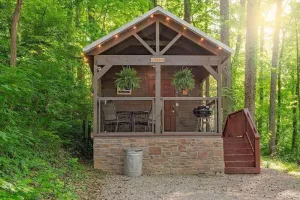 Image of Lookout Tiny Cabin 5 Min To Downtown Chattanooga