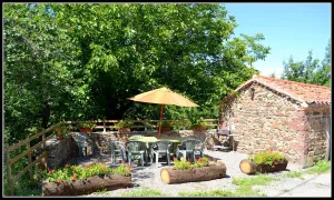 Image of Cottage on the edge of the forest and near the gorges of the allier