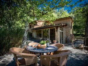 Image of Provencal gîte with shared pool