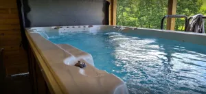 Image of Your dream villa | Bödefeld - Book with wellness package\/swimming spa and sauna!