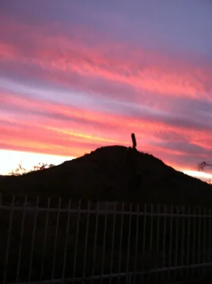 Image of Ahwatukee Mountain View !!