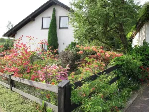 Image of Holiday apartment Hachenburg for 2 - 3 persons with 2 bedrooms - Holiday house