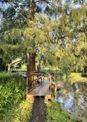 Image of Charming cabin on Lower Grand River — Bayou Pigeon, Louisiana